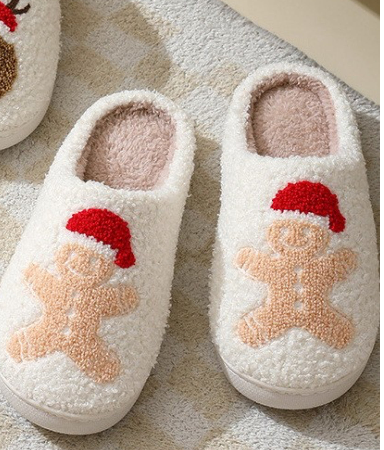 Holiday Slippers